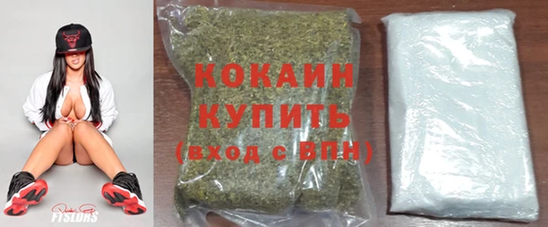 apvp Семилуки