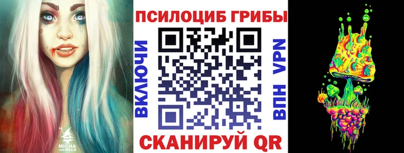 Купить  Уржум  Галлюциногенные грибы Psilocybine cubensis 